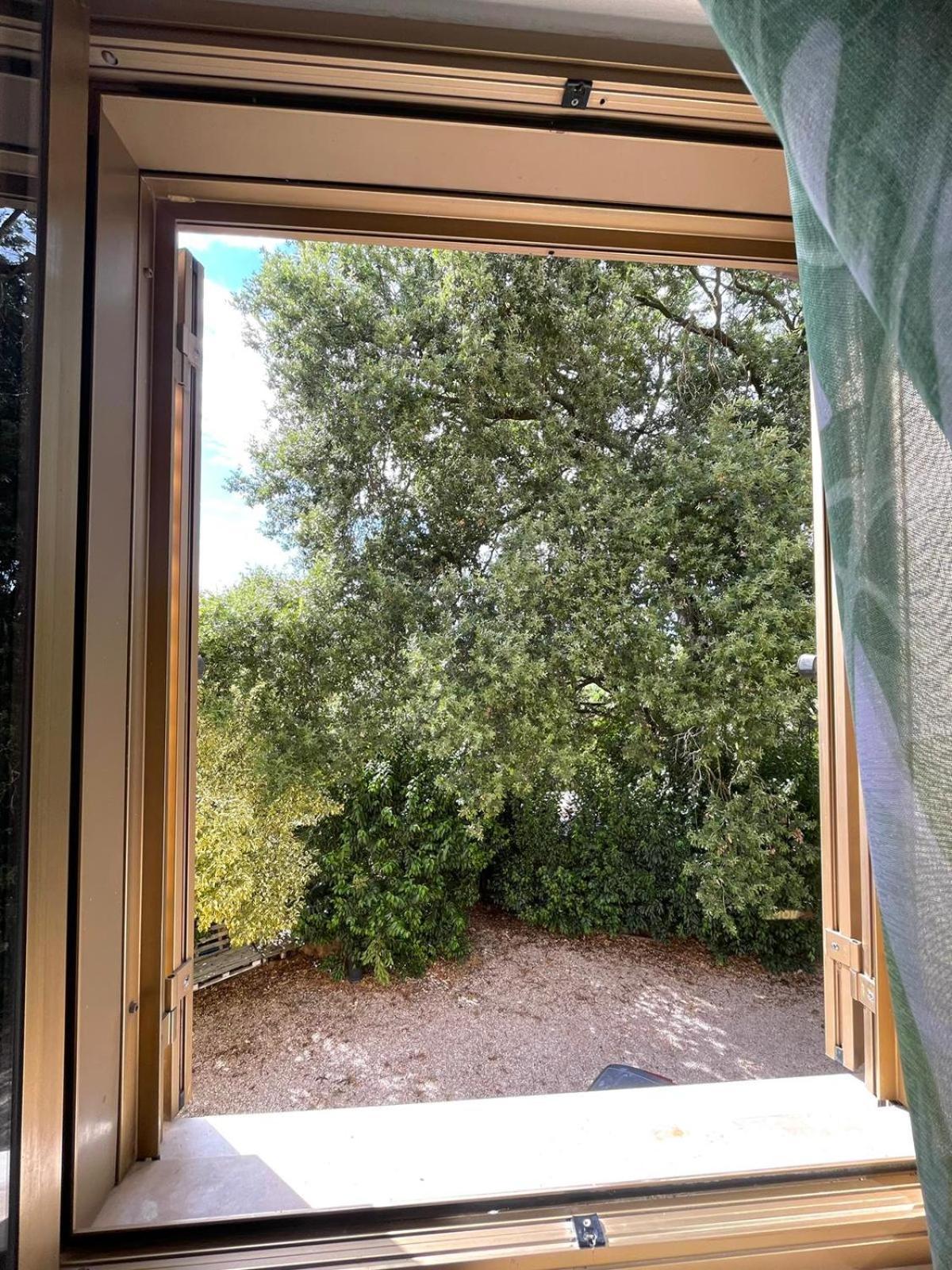 Lemon B&B Monsampolo Del Tronto Esterno foto